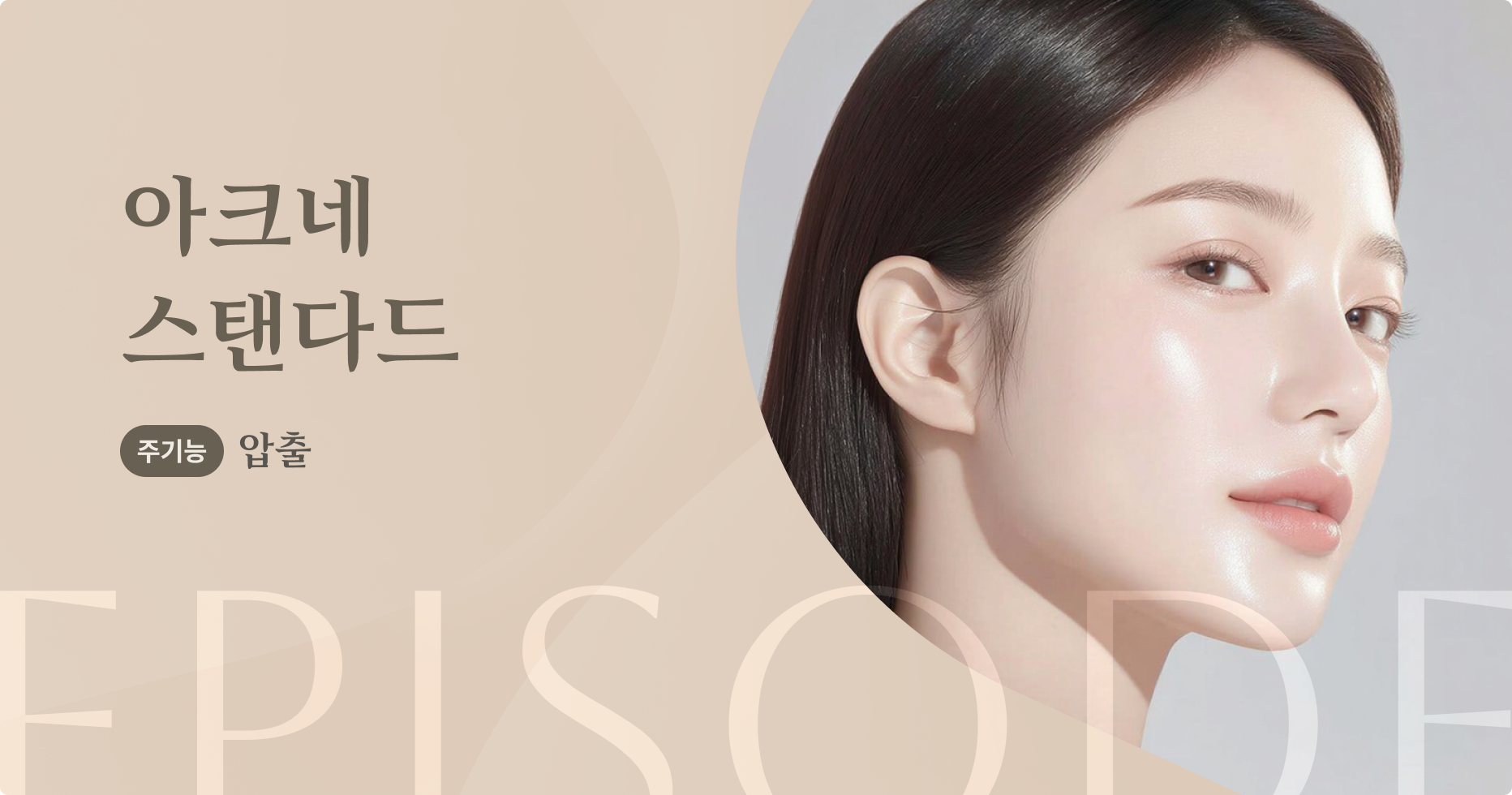 아크네스탠다드 안내 1