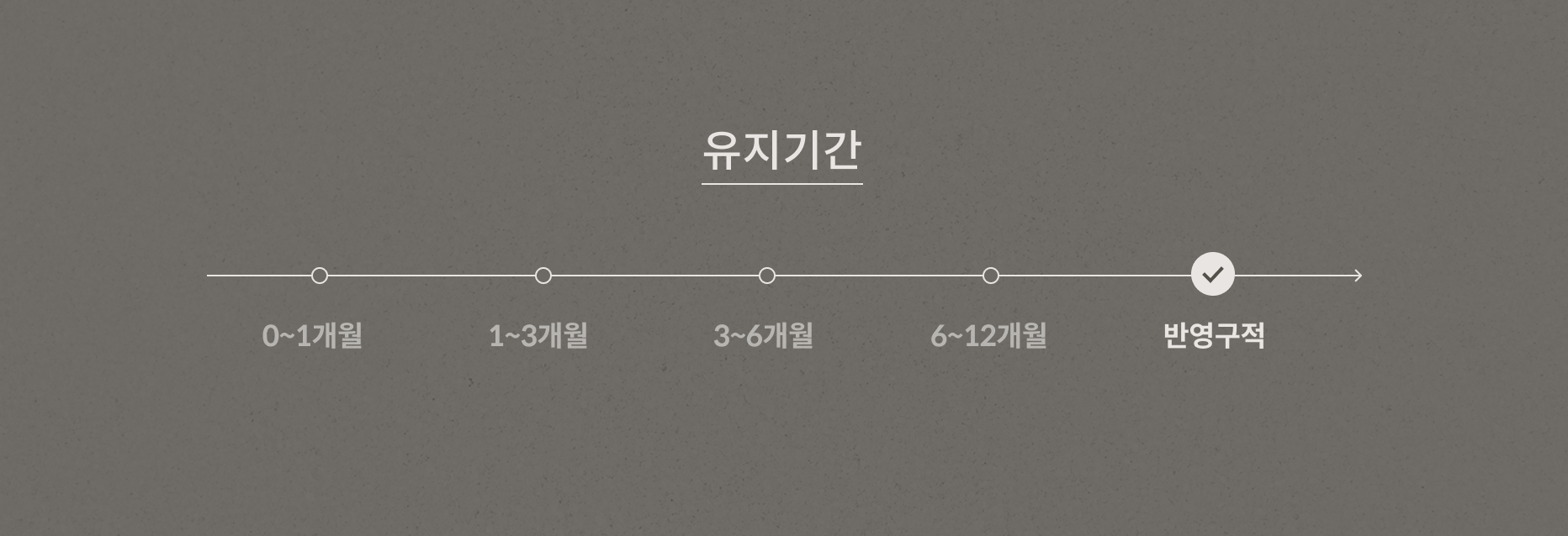 블랙필 안내 5