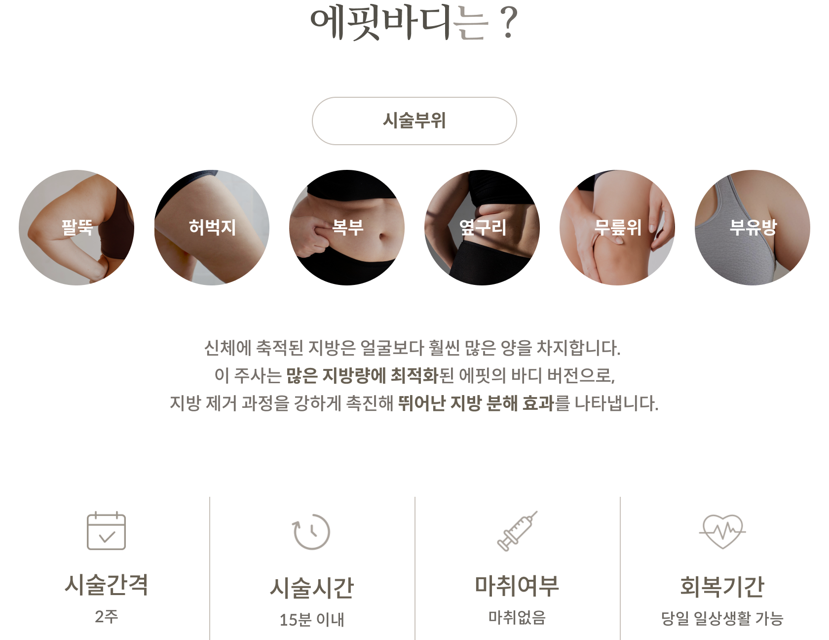 바디에핏 안내 2