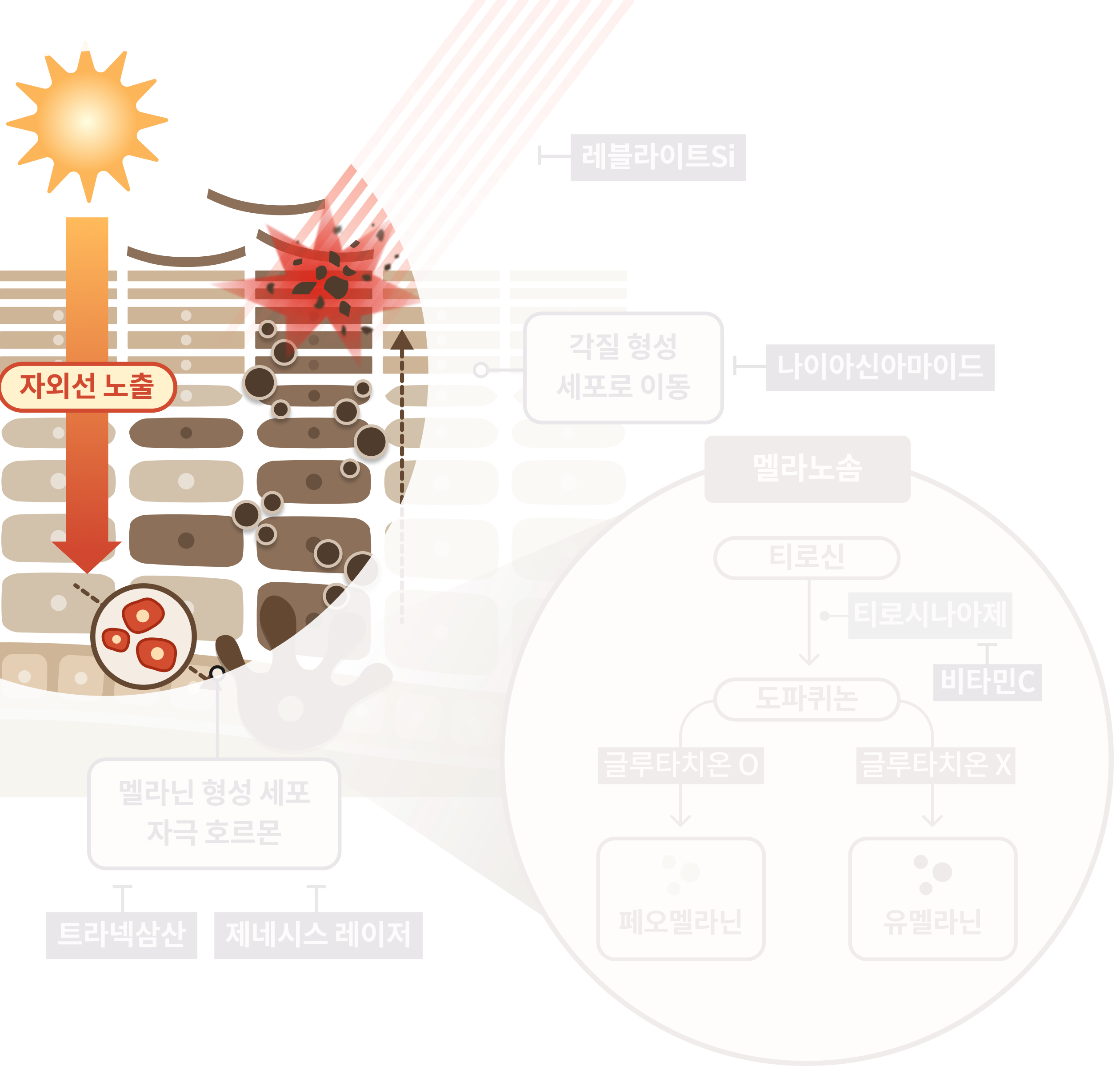 맑고 환하게 피부톤 미백 자외선 차단