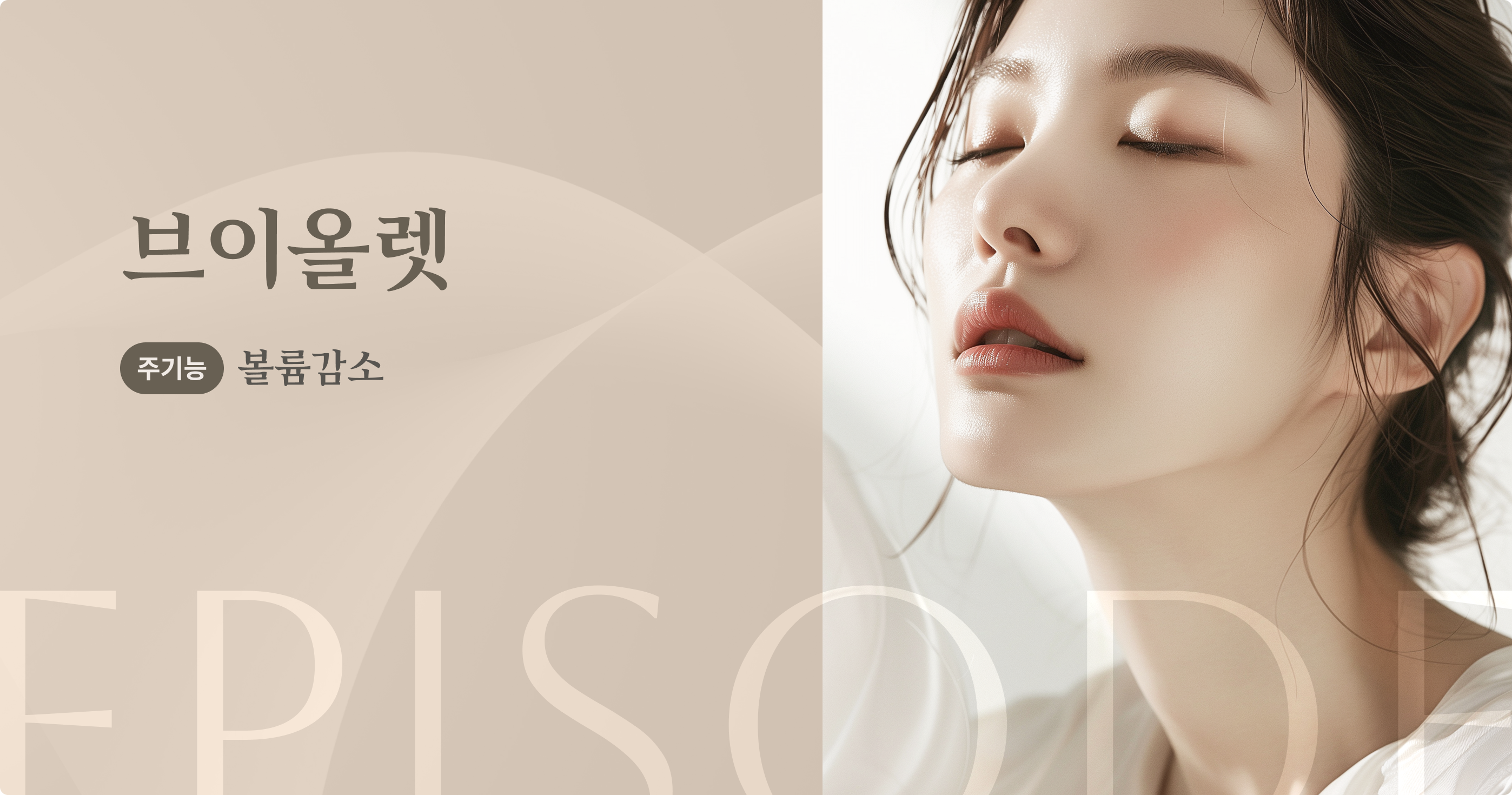 브이올렛 안내 1
