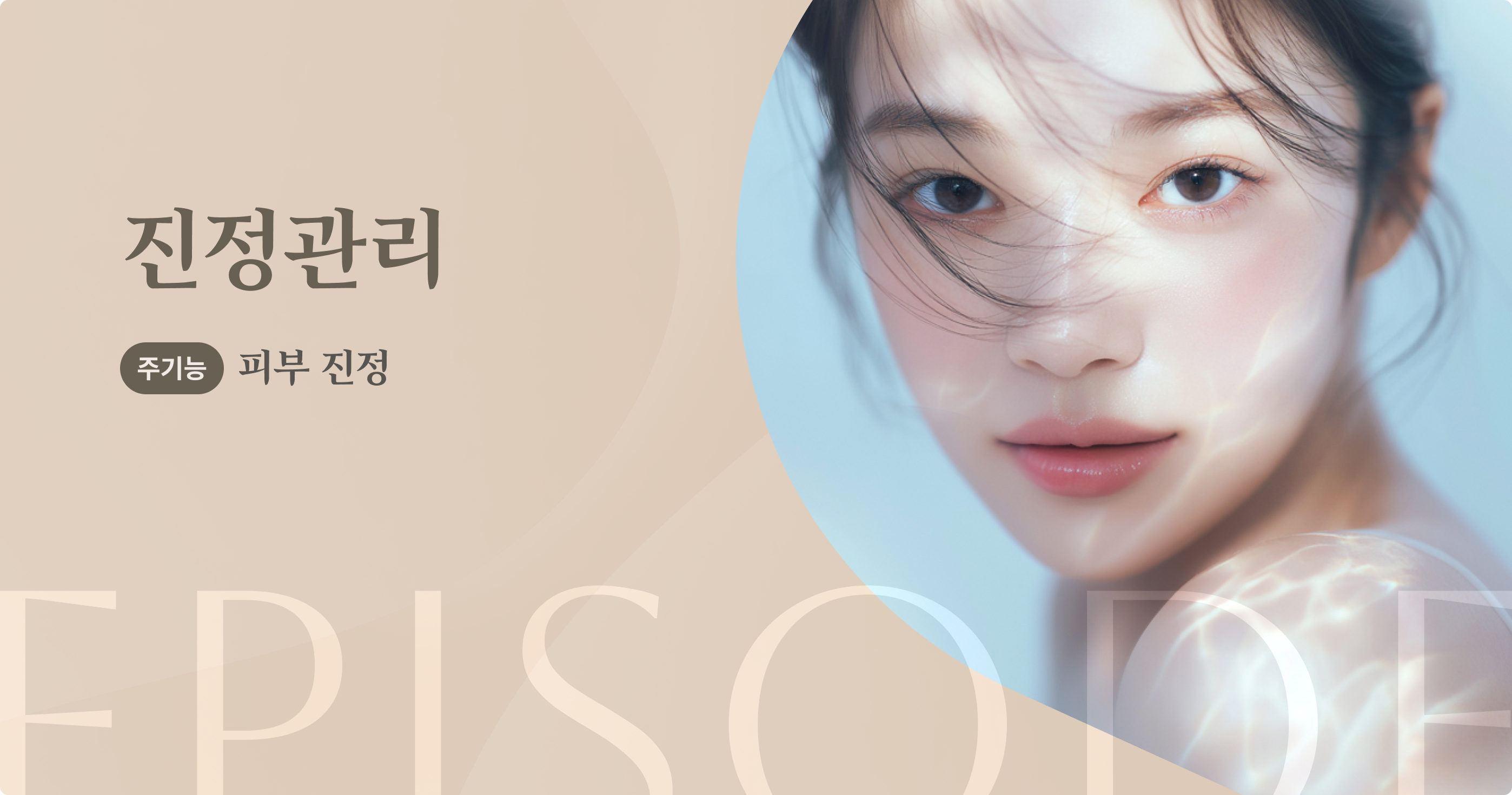 진정관리 안내 1