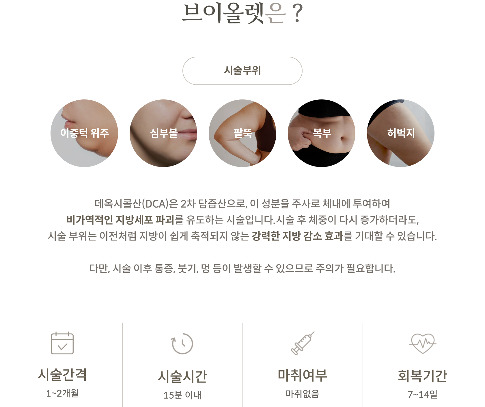 브이올렛 안내 2