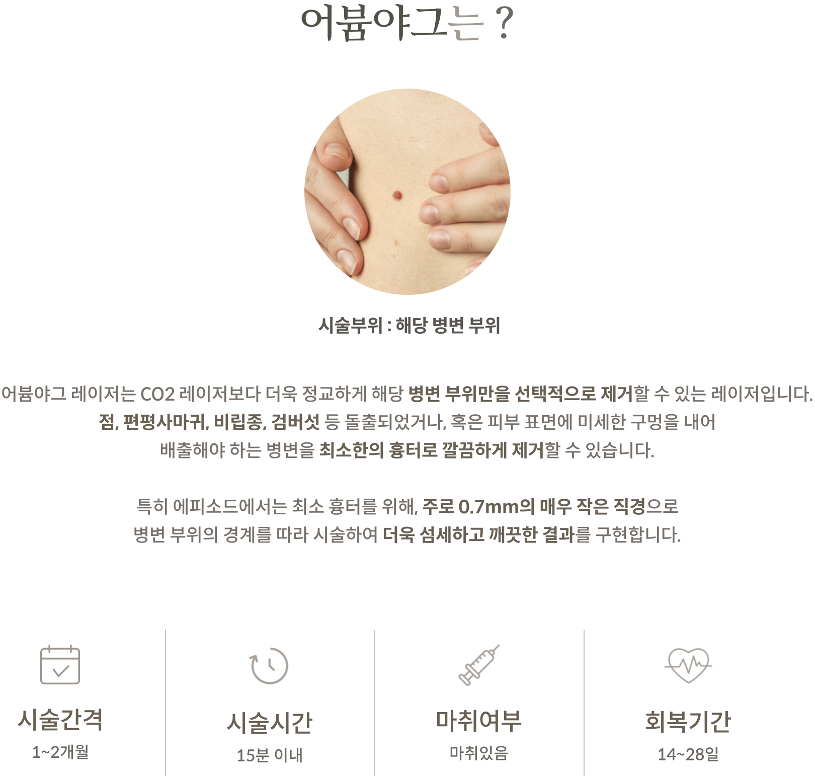 어븀야그올인원 안내 2