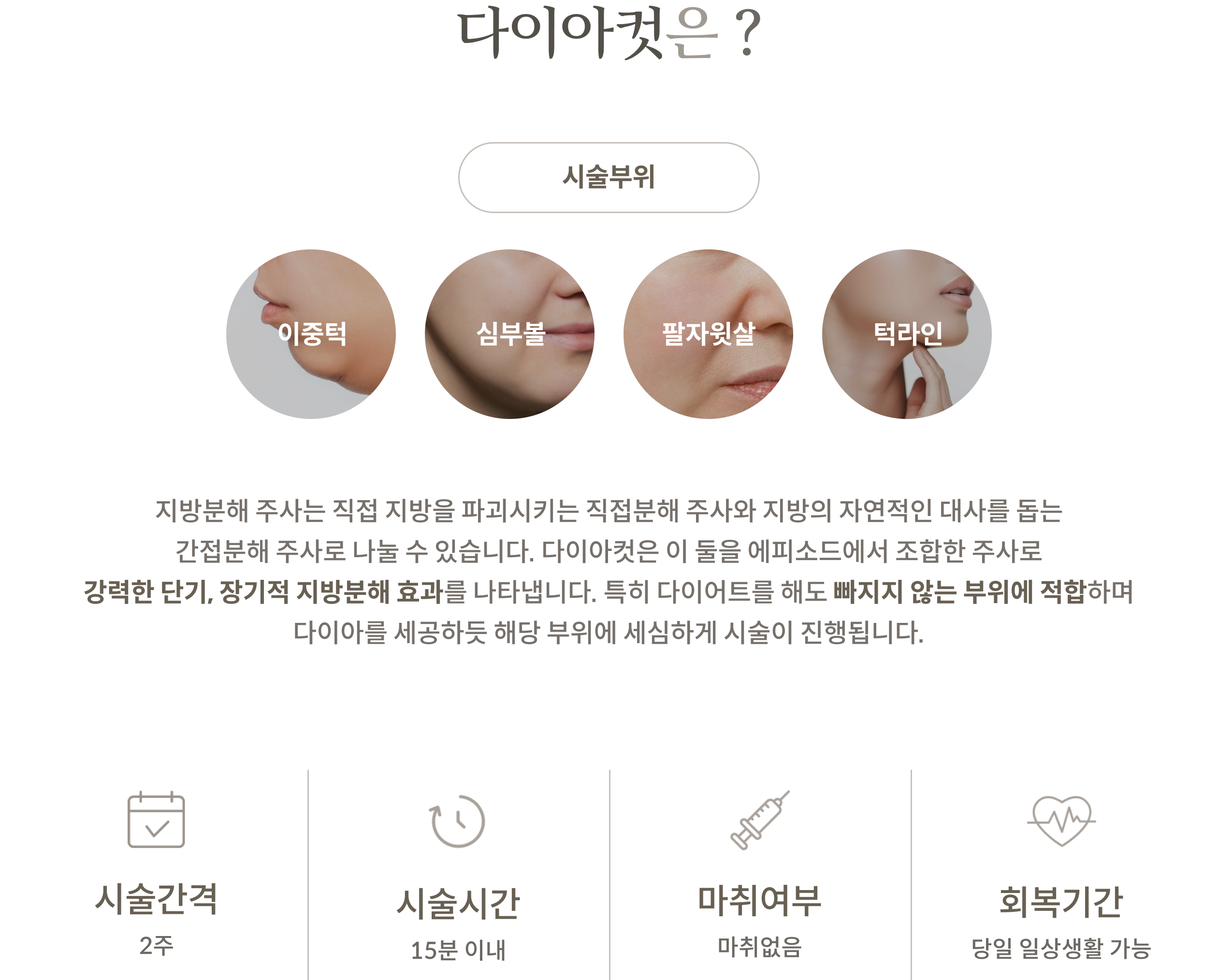 페이스다이아컷 안내 2