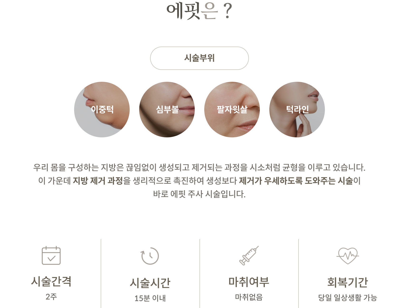 바디다이아컷 안내 2